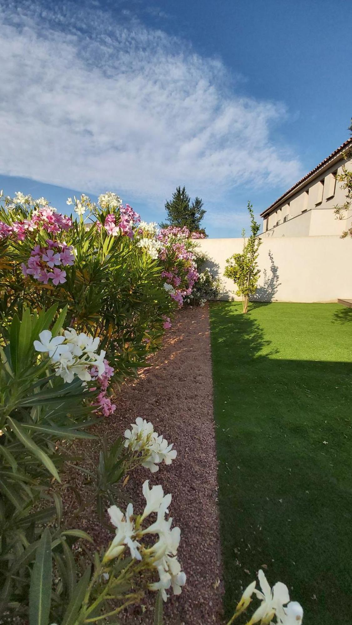 Villa Home Holiday A Cala Rossa レクシ エクステリア 写真