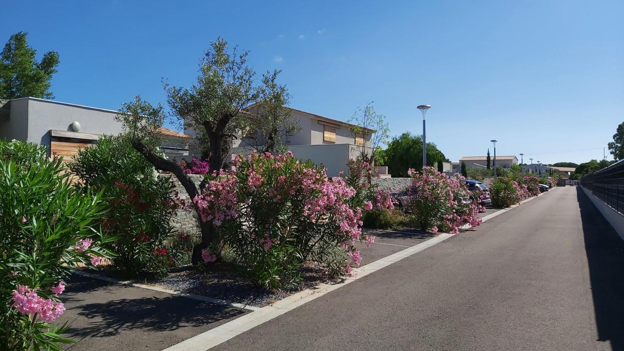 Villa Home Holiday A Cala Rossa レクシ エクステリア 写真