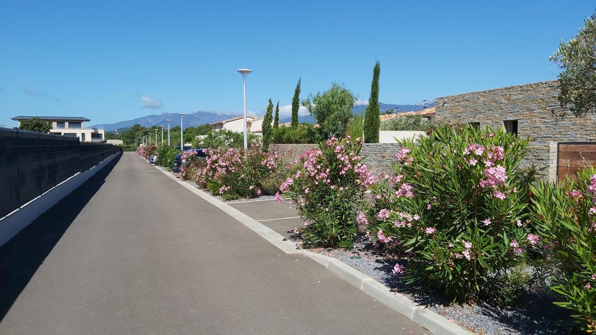Villa Home Holiday A Cala Rossa レクシ エクステリア 写真